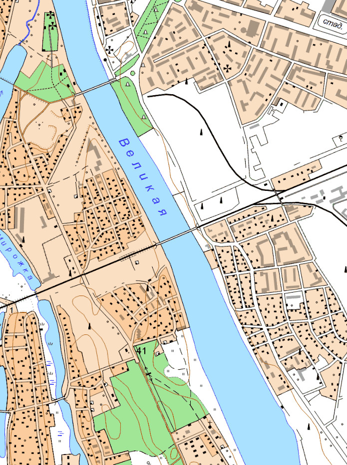 Топографическая карта Пскова с улицами (250м)