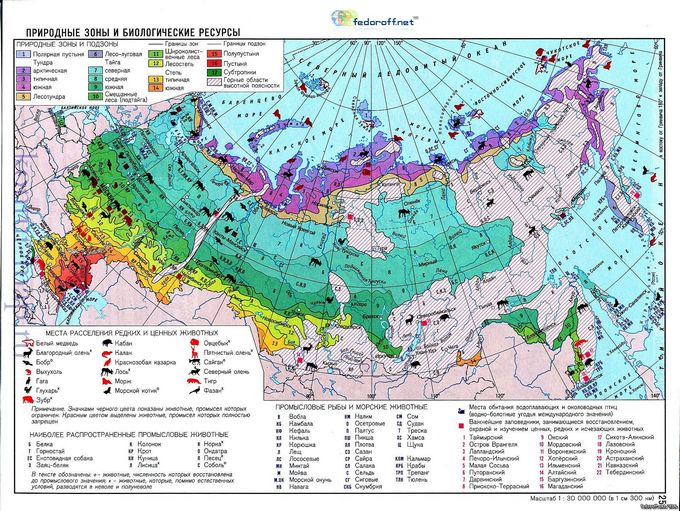 Карты природных зон России