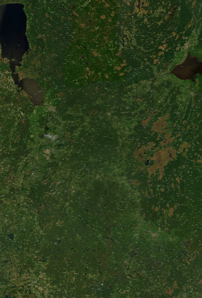 Карты Псковской области со спутника