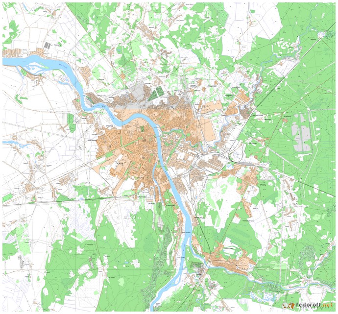 Топографическая карта Пскова с улицами (250м)