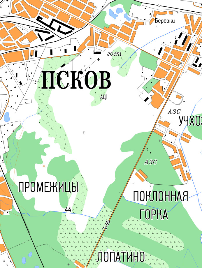 Топографическая карта Псковской агломерации 500 м