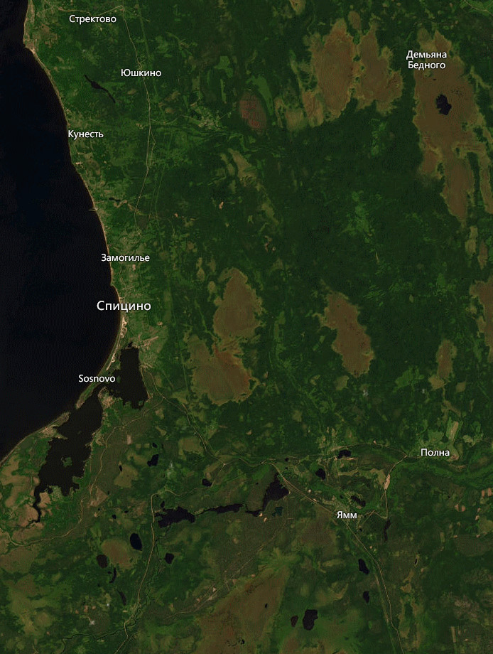 Карты Псковской области со спутника