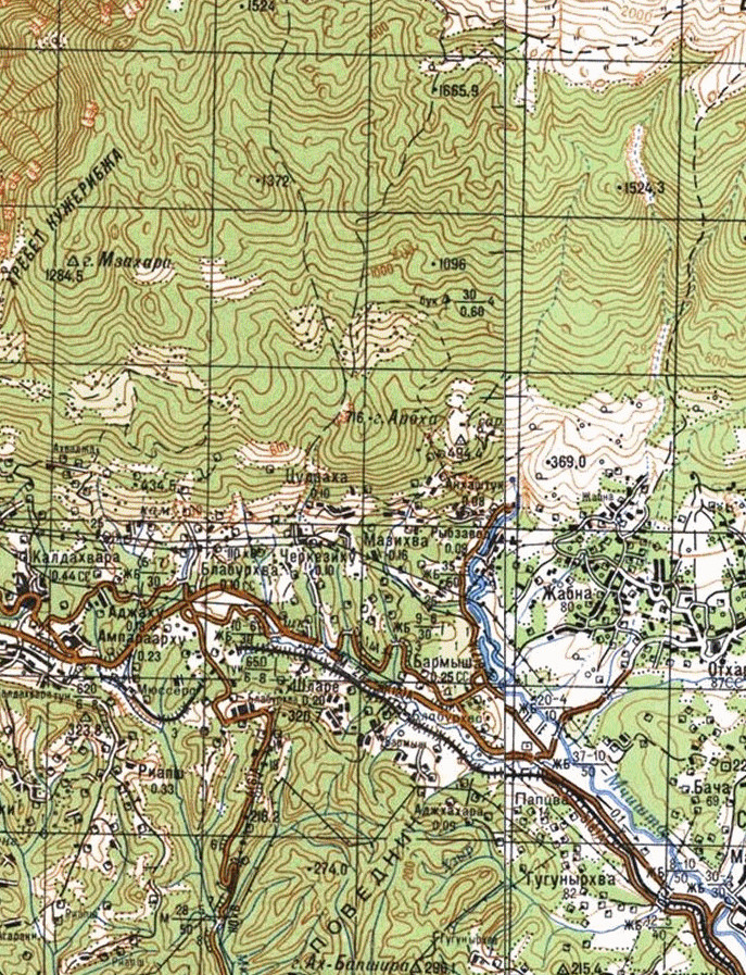Топографическая карта Абхазии