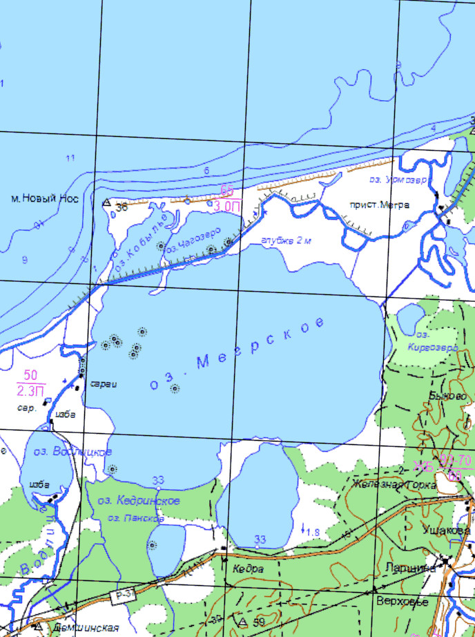 Топографическая карта Онежского озера 2км