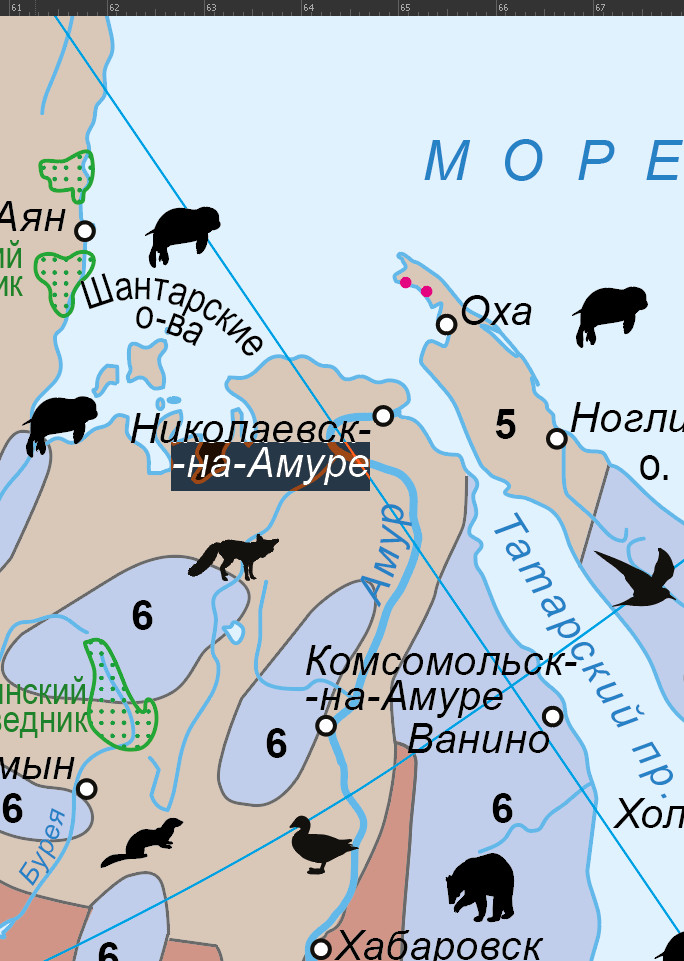 Векторная карта природных зон РФ