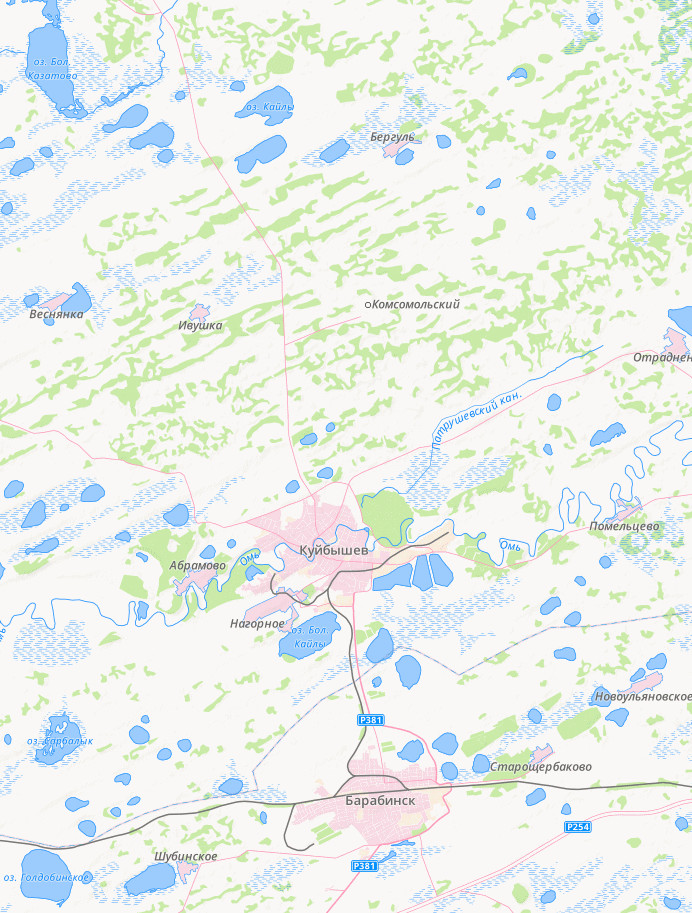 Карта Новосибирской области для широкоформатной печати