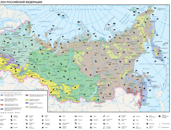 Векторная карта природных зон РФ