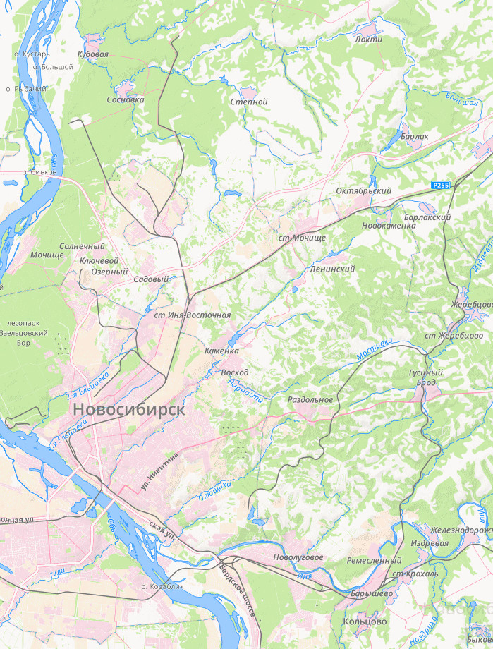 Карта Новосибирской области для широкоформатной печати