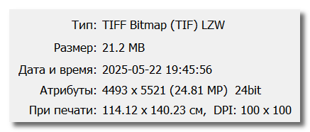 Растровые карты Воронежа для скачивания и печати PDF PNG JPG GeoTIFF