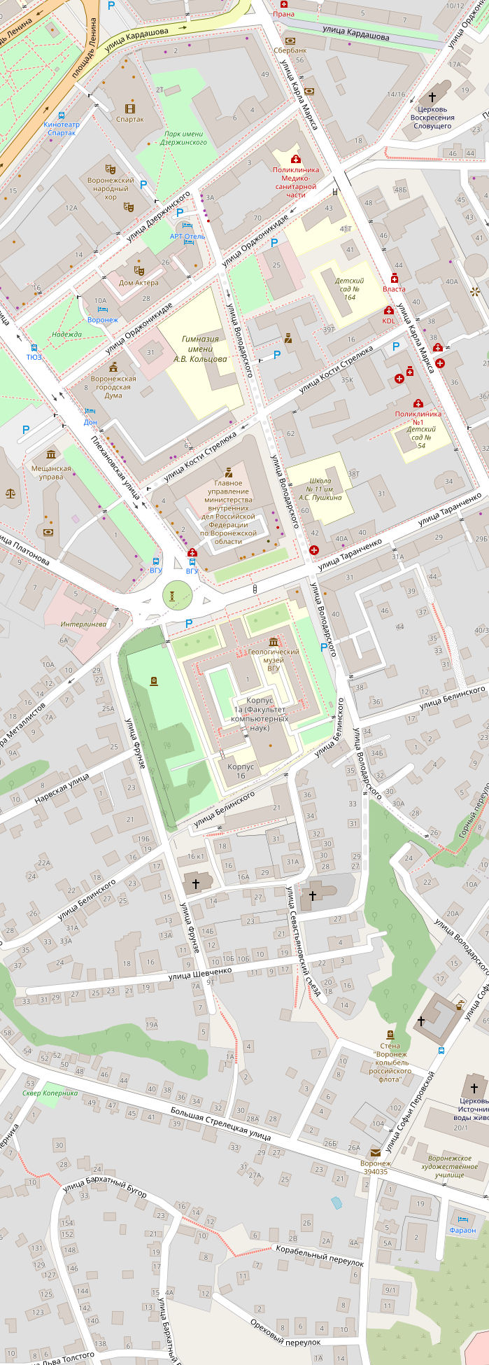 Растровые карты Воронежа для скачивания и печати PDF PNG JPG GeoTIFF