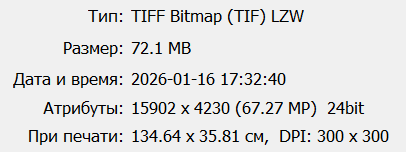 Спутниковые карты России
