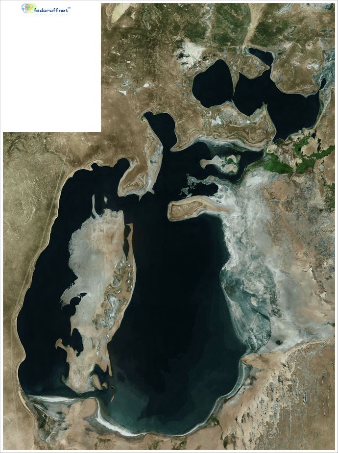 Аральское Море 2022 Год Фото