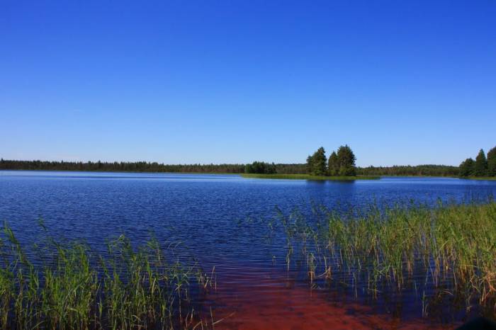 Озеро смолинское палкинский район