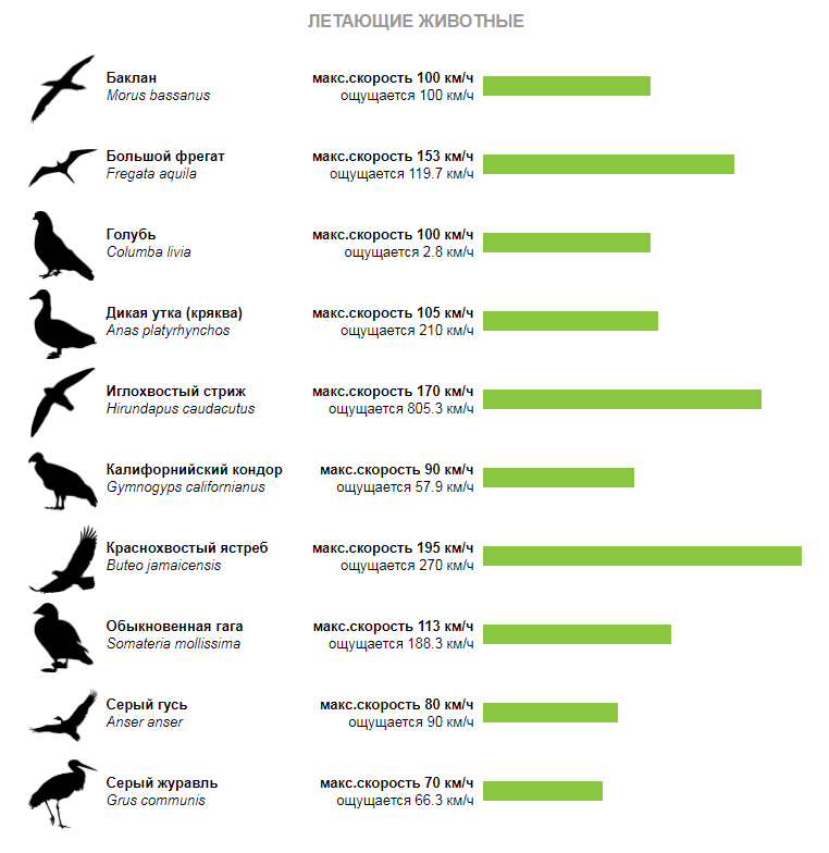 Сколько скорость птицы. Скорость бега животных таблица. Скорость самых быстрых животных таблица. Максимальная скорость животных таблица. Самые быстрые животные таблица сравнений.